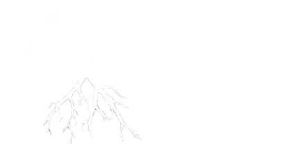 Adept Landscape and Construction Inc.
