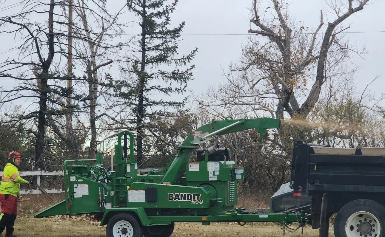 arborist company calgary