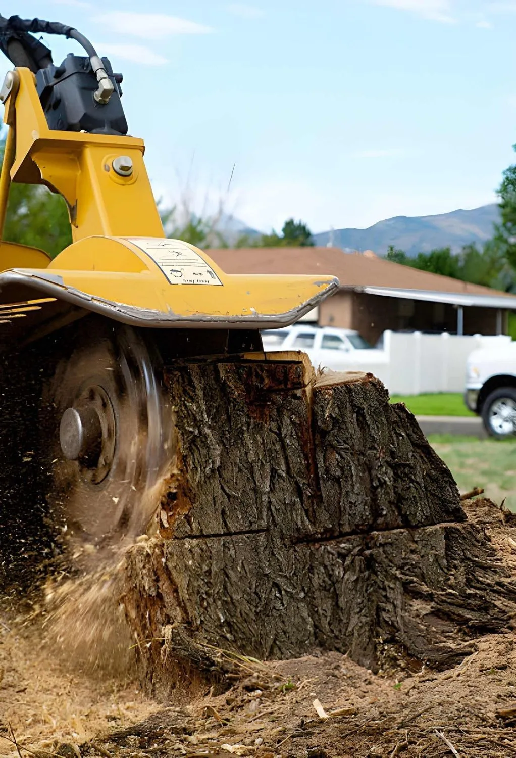 Stump Grinding Services in Calgary